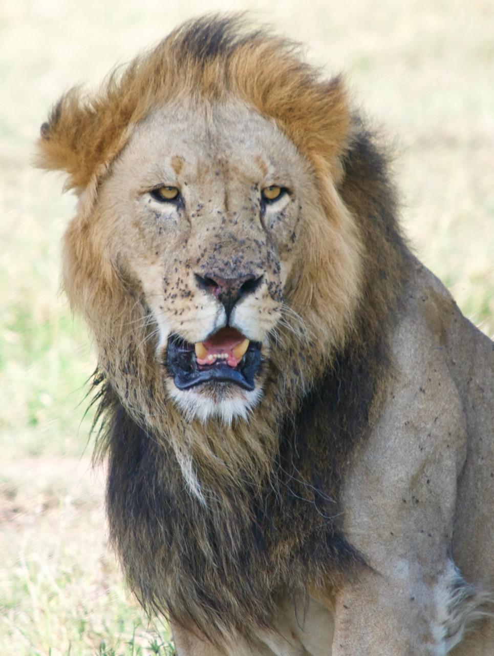 Young photographer Lara Hillier 2 Young photographer Lara Hillier 2